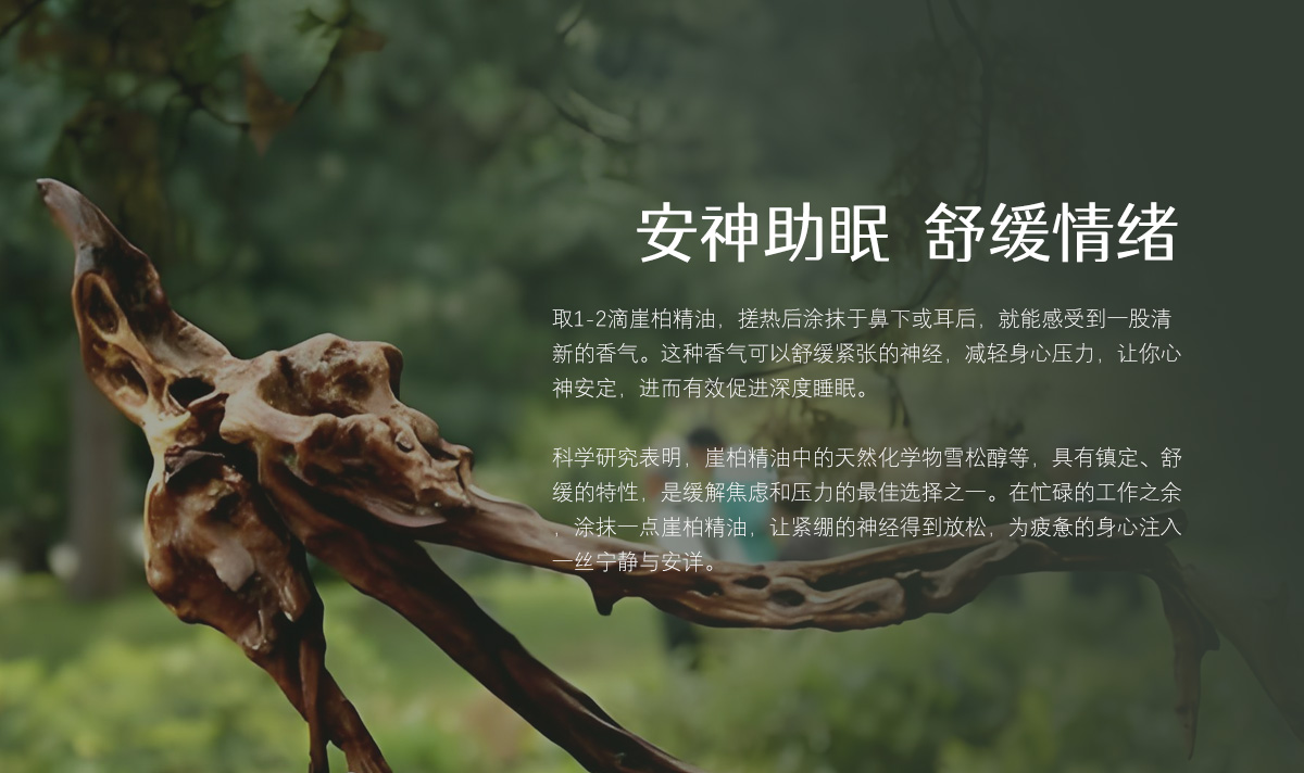 乌拉山崖柏精油