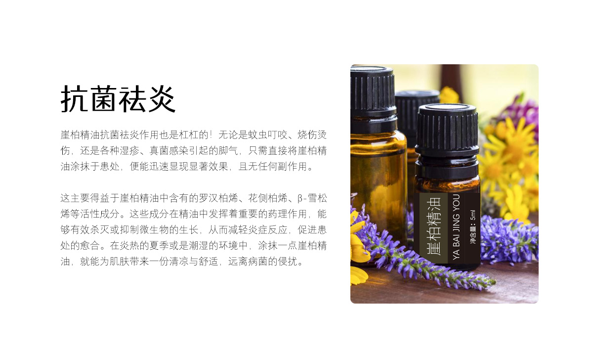 乌拉山崖柏精油